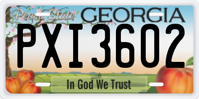 GA license plate PXI3602