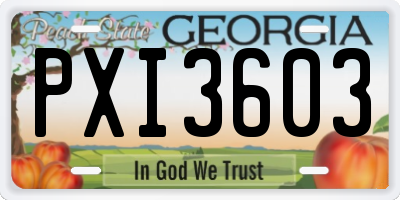 GA license plate PXI3603