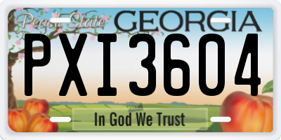 GA license plate PXI3604