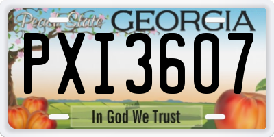 GA license plate PXI3607
