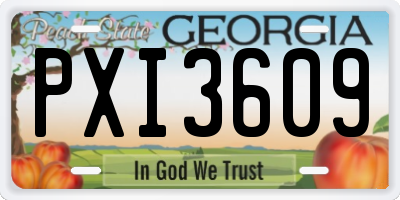 GA license plate PXI3609