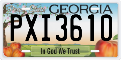 GA license plate PXI3610
