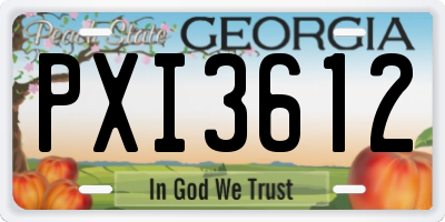 GA license plate PXI3612