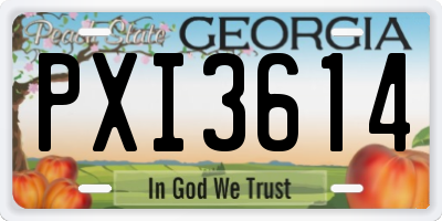 GA license plate PXI3614