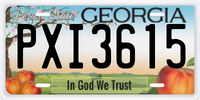 GA license plate PXI3615