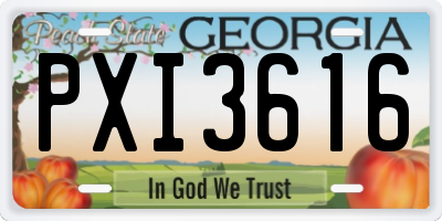 GA license plate PXI3616