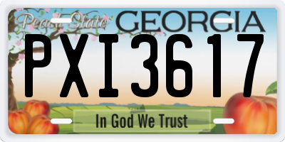 GA license plate PXI3617