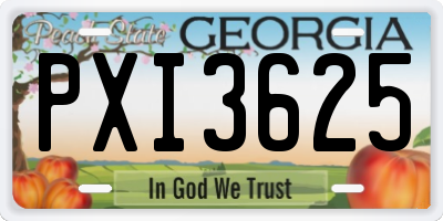 GA license plate PXI3625