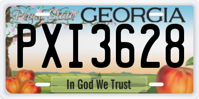 GA license plate PXI3628