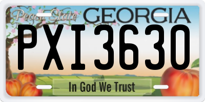 GA license plate PXI3630