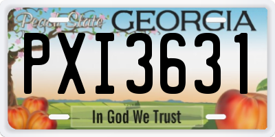 GA license plate PXI3631