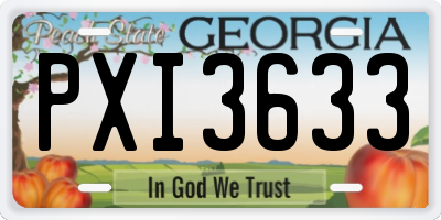 GA license plate PXI3633