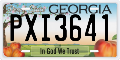 GA license plate PXI3641