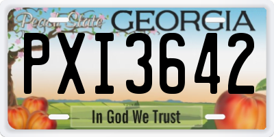 GA license plate PXI3642