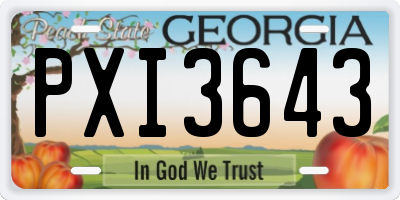 GA license plate PXI3643