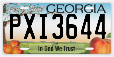 GA license plate PXI3644