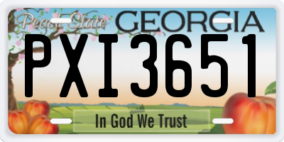 GA license plate PXI3651