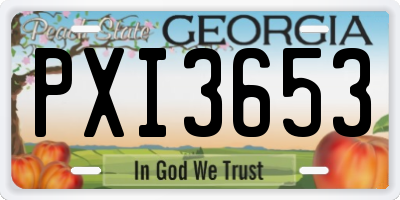 GA license plate PXI3653
