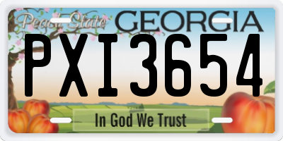 GA license plate PXI3654