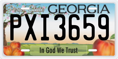 GA license plate PXI3659
