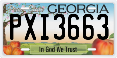 GA license plate PXI3663