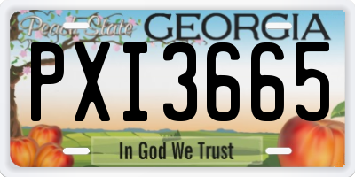 GA license plate PXI3665