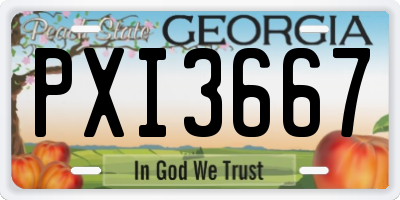 GA license plate PXI3667