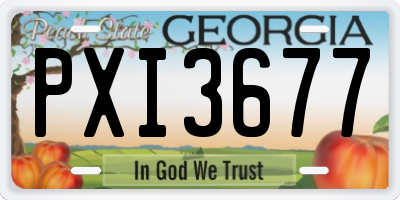 GA license plate PXI3677