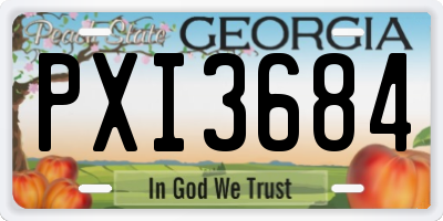 GA license plate PXI3684