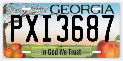 GA license plate PXI3687