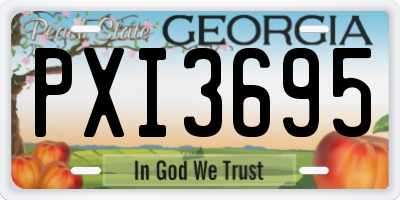 GA license plate PXI3695