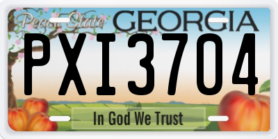 GA license plate PXI3704
