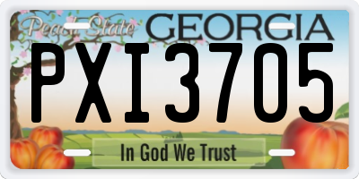 GA license plate PXI3705