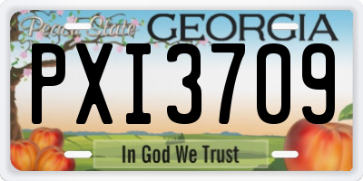 GA license plate PXI3709