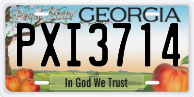 GA license plate PXI3714