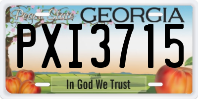 GA license plate PXI3715