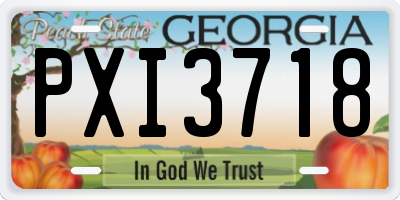 GA license plate PXI3718