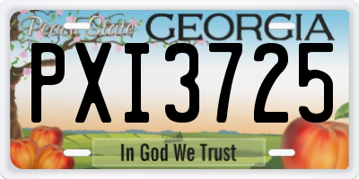 GA license plate PXI3725