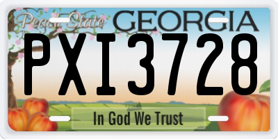 GA license plate PXI3728