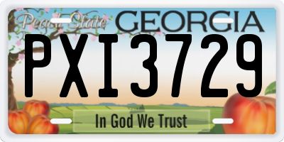 GA license plate PXI3729
