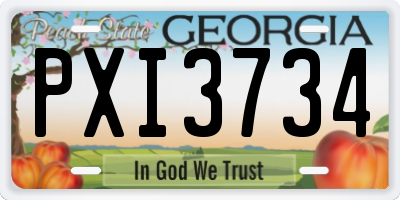 GA license plate PXI3734