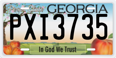 GA license plate PXI3735