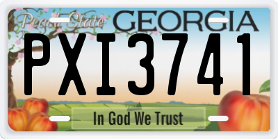 GA license plate PXI3741
