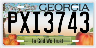 GA license plate PXI3743