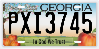 GA license plate PXI3745