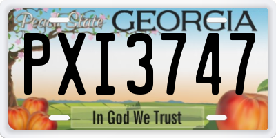 GA license plate PXI3747