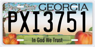 GA license plate PXI3751