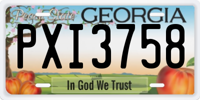 GA license plate PXI3758