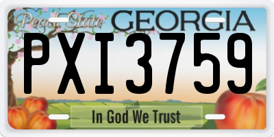 GA license plate PXI3759