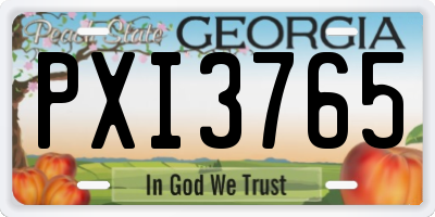 GA license plate PXI3765